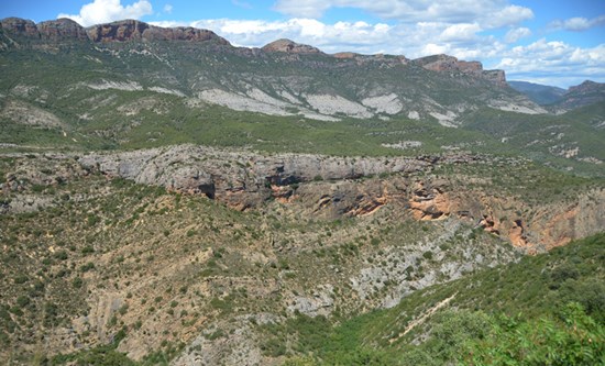 A close up of a hillside Description automatically generated
