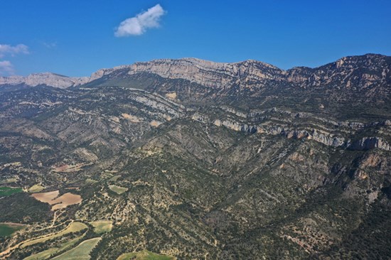 A close up of a hillside Description automatically generated