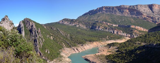 A close up of a hillside Description automatically generated