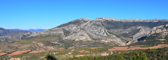 A close up of a hillside Description automatically generated