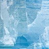 Evolution of Antarctic vegetation cover from the Paleocene to the Pliocene: A review of case studies from the Antarctic Peninsula, the Ross Sea, the Sabrina Coast and the Dry Valleys