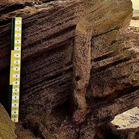 AAPG