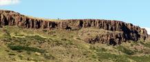 AAPG