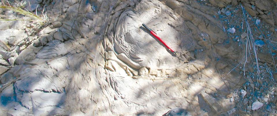 AAPG