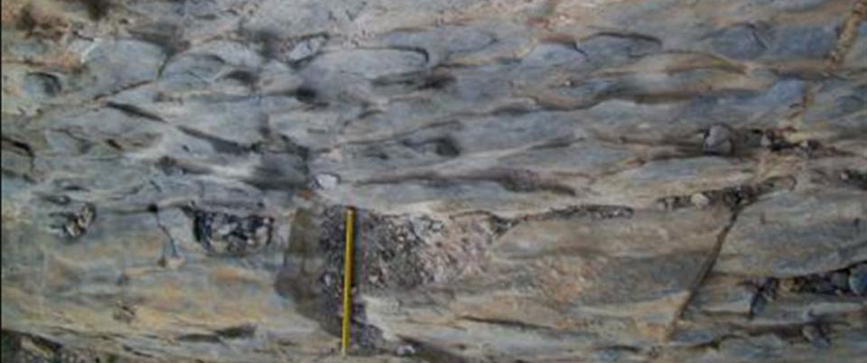 AAPG