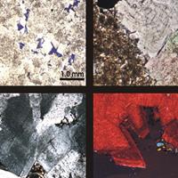 AAPG