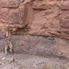 AAPG Explorer Article
