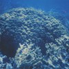 AAPG Explorer Article