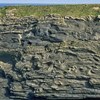 AAPG Explorer Article