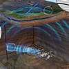 AAPG Explorer Article