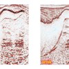 AAPG Explorer Article