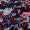 Modeling the Evolution of Permeability in Carbonates