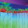 AAPG Explorer Article