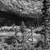 AAPG Explorer Article
