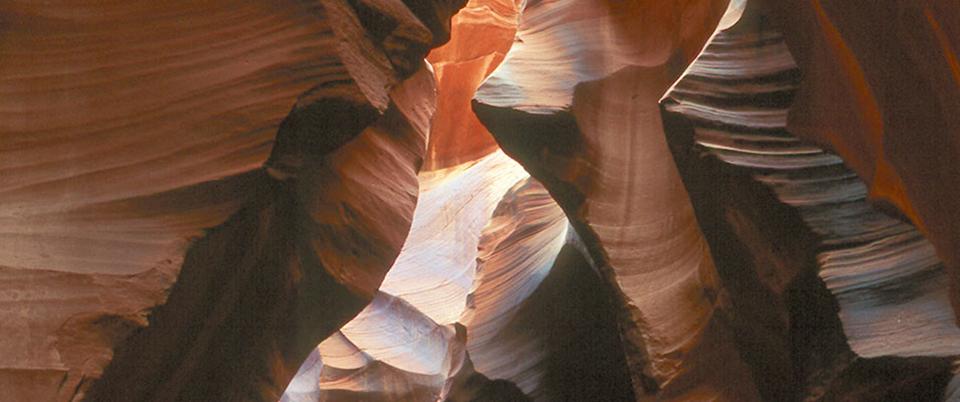 AAPG