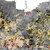 AAPG Explorer Article
