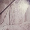 AAPG Explorer Article
