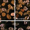 AAPG Explorer Article