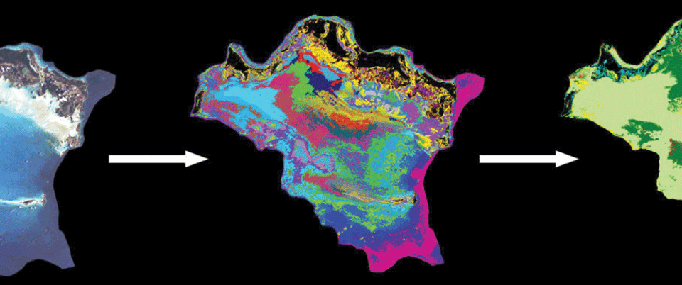 AAPG