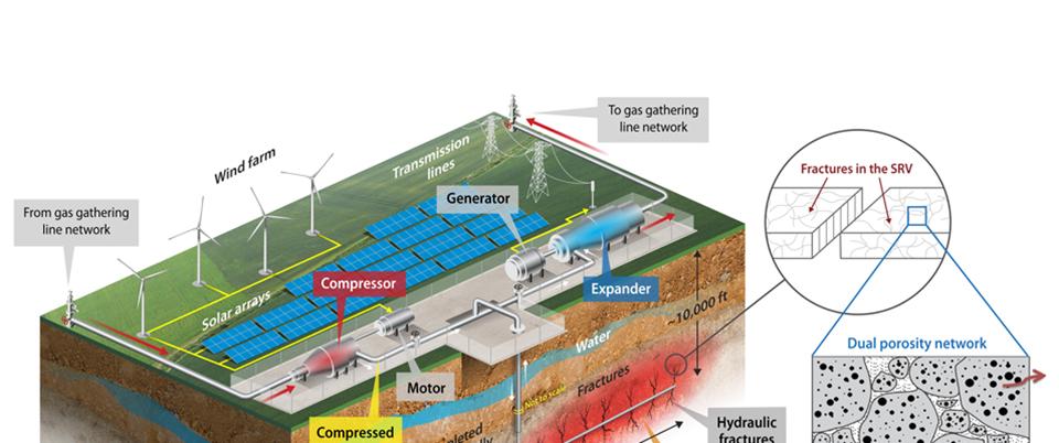 AAPG