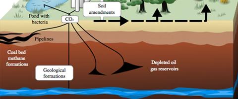 AAPG