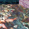 AAPG Explorer Article
