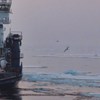 AAPG Explorer Article