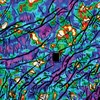 AAPG Explorer Article