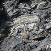 AAPG Explorer Article