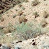 AAPG Explorer Article