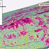 AAPG Explorer Article