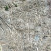 New evidences for the formation of and for petroleum exploration in the fold-thrust zones of the central Black Sea Basin of Turkey