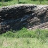 AAPG Explorer Article