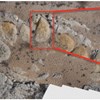 AAPG Explorer Article