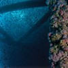 AAPG Explorer Article