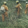 AAPG Explorer Article