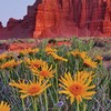 AAPG Explorer Article