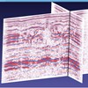 AAPG Explorer Article