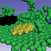 AAPG Explorer Article