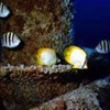 AAPG Explorer Article
