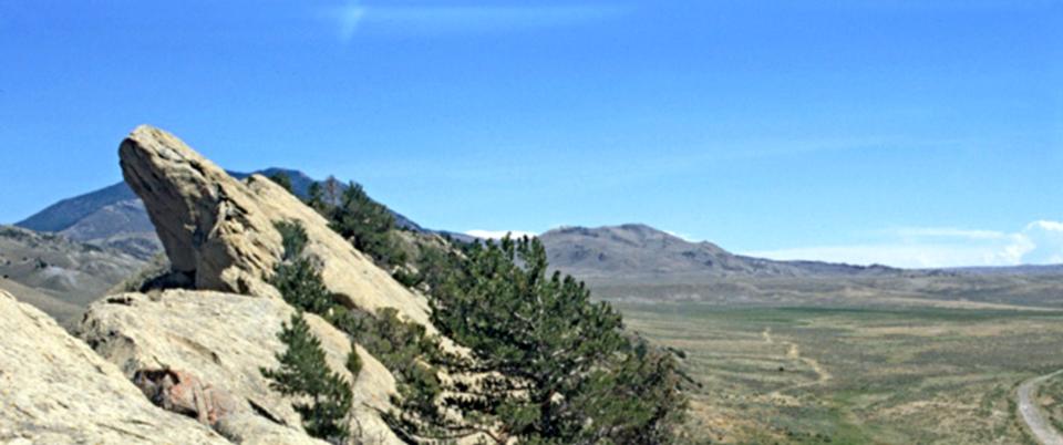 AAPG