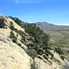 AAPG Explorer Article