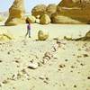 AAPG Explorer Article