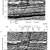 AAPG Explorer Article