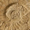 AAPG Explorer Article