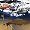 AAPG Explorer Article