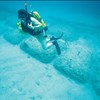 AAPG Explorer Article