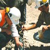 AAPG Publication