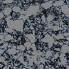 AAPG Explorer Article
