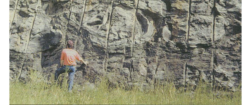 AAPG